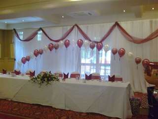 Stuffed Helium Balloon Arch  