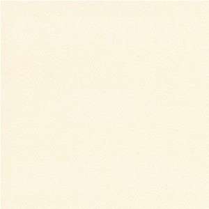   Pastelle Natural White 80# A8 Envelope 250 envelopes
