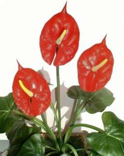 Anthurium Plant 21 (53cm), Artificial Synthetic Flower  