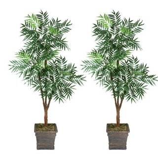 Two 6 Phoenix Tripled Artificial Trees Silk Plants, with No Pot 