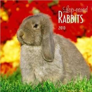  Lop eared Rabbits 2010 Wall Calendar Publisher Browntrout 