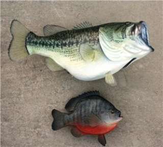 World Record Bass & Bream Fish Mounts You get Both  