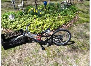 Co Pilot WeeRide Bicycle Tandem Bike Trailer  