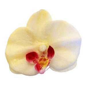 Phalaenopsis Orchid Artificial Flower Pin Brooch, Cream Fuchsia