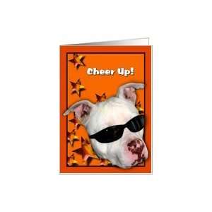 Cheer Up Cool Pitbull Card