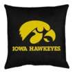 University of Iowa Hawkeyes Bedding Collection  Target