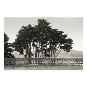 Cypress Trees and Balusters Giclee Poster Print by Christian Peacock 