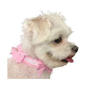 Bow Wow Bows Dog Collar White and Pink