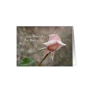  Mothers Day Mother in Law   Pink Rose Bud Card Health 