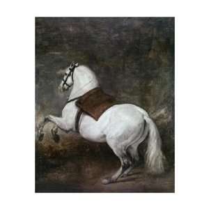  Diego Velazquez   A White Horse Giclee Canvas