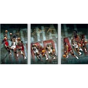 MICHAEL JORDAN Signed Triptych 48x24 CANVAS UDA LE 1/50   Autographed 