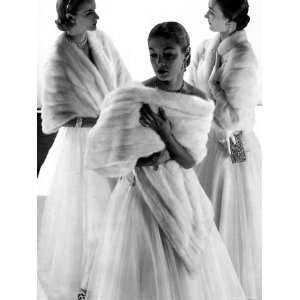  Three Models Wearing White Mink Stoles over Long Evening 