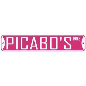   PICABO HOLE  STREET SIGN