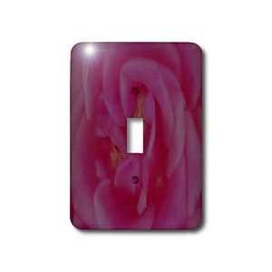  Rebecca Anne Grant Designs Flowers   Soft Pink Rose 
