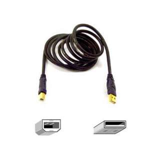 Belkin 6 Foot Gold Series Hi Speed USB 2.0 Cable NEW 722868671306 