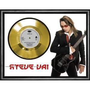 Steve Vai Deep Down Into The Pain Framed Gold Record A3