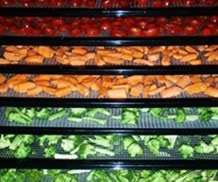   Food Canning Recipes Dehydrate Dehydrating Pickling Backwoods  