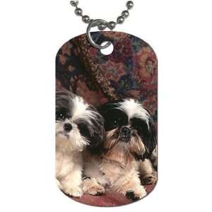  Puppies shih tzu Dog Tag with 30 chain necklace Great 