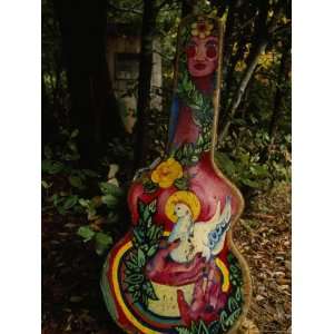  Elaborately Painted Guitar Case of Environmental Activist 