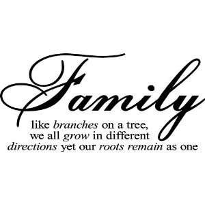  Family Like Branches On A Tree vinyl lettering wall 