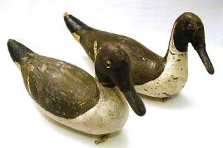   Painted Canvas and Cork DUCK DECOYS Glass Eyes 1920s Vintage Hunting