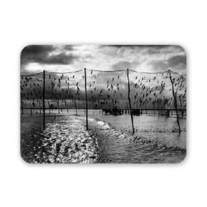  Fishing nets set on the sand banks in Rye   Mouse Mat 