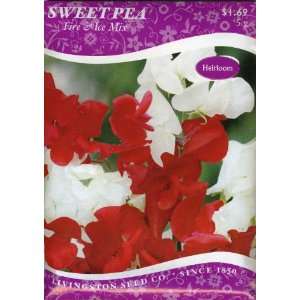  Sweet Pea   Fire And Ice Patio, Lawn & Garden