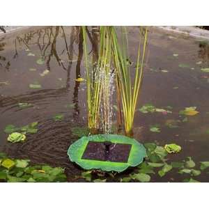   Solar Pond Lily Fountain Operates In Direct Sunlight