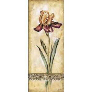  Elegant Iris I by Ruth Franks. Size 20.00 X 8.00 Art 