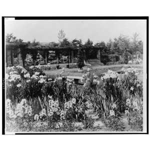   and the pergola in the Blue Garden, Newport, Rhode