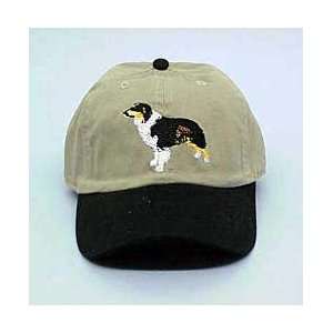  Australian Shepherd Hat