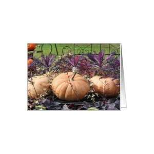  Large Gourds Nature Photo Blank Note Card Card Health 