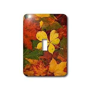 Yves Creations Colorful Leaves   Rustic Autumn Leaves   Light Switch 