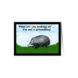  Groundhog Day with Echidna humor funny Card Health 