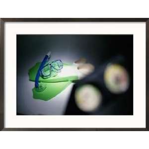  Snorkel and Flippers Collections Framed Photographic 