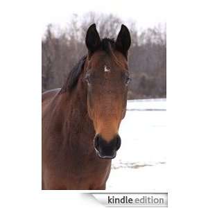  Things Equestrian Kindle Store Hilary Walker