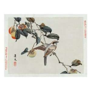  Bird Perched on a Branch from a Fruit Tree, Japanese Wood 