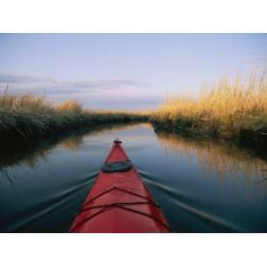 The Bow of a Kayak Leads the Way Through a Marsh Channel Photographic 