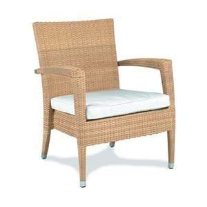 GAR Products ASBURYLNGCHR Safari Brown 8015 Asbury Outdoor Lounge 