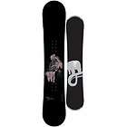 palmer snowboards  