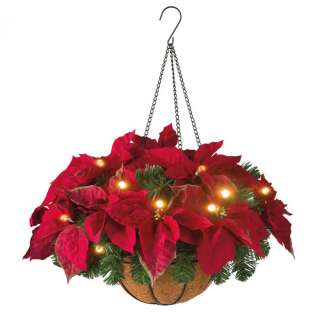 Cordless LED Poinsettia Hanging Basket from Brookstone  