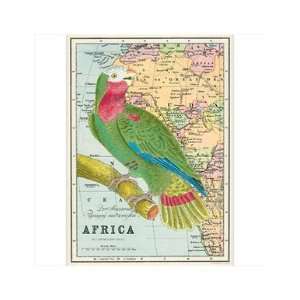  Cavallini   Africa Parrot   Decorative Paper   Gift Wrap 