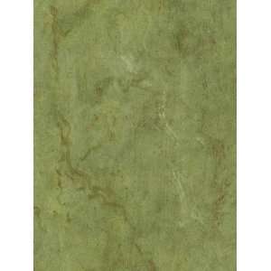  Wallpaper Patton Wallcovering texture Style tE29341