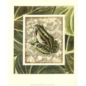  Frog Habitat II by Vision Studio. size 12 inches width by 