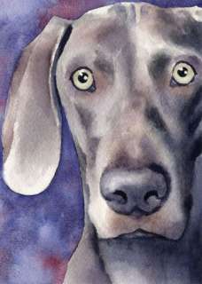 WEIMARANER Watercolor Dog Art ACEO Print Signed DJR  