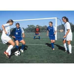    Competition Portable Aluminum Soccer Goal
