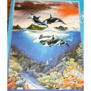 Seascapes Sea of Magic by Robert Lyn Nelson   750 Piece Puzzle
