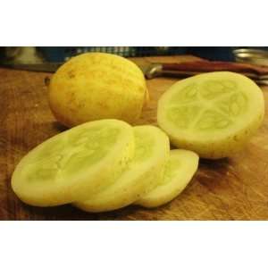  Lemon Cuke Cucumber Seeds