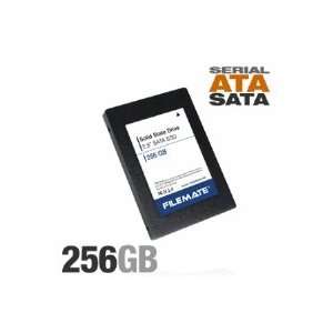  Wintec FileMate Solid State Drive
