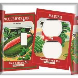   Combo Plate   Radish / Watermelon Seed Packets